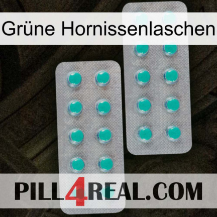 Grüne Hornissenlaschen 29